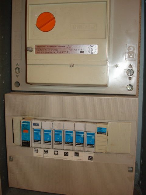 DSC03875.jpg