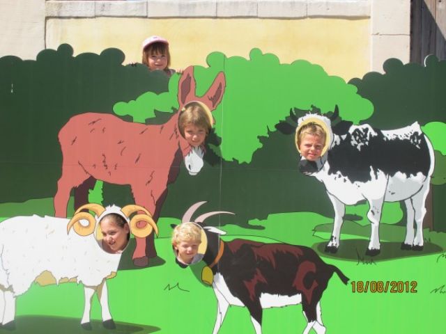 025.jpg