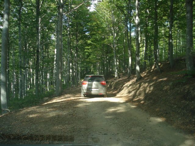 DSC02464.jpg