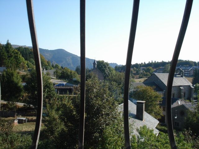 DSC02466.jpg