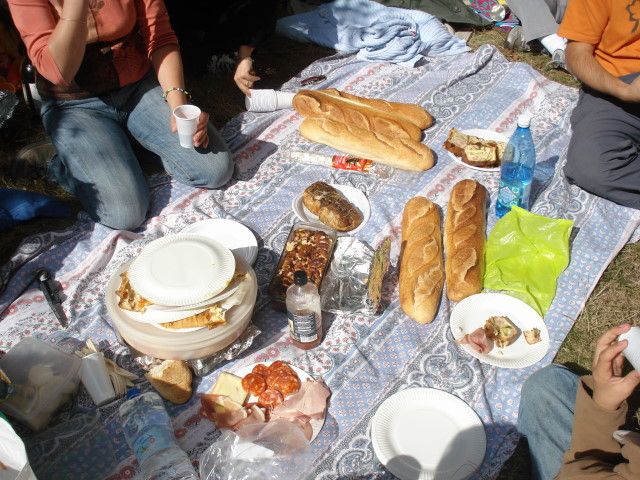 DSC02477.jpg