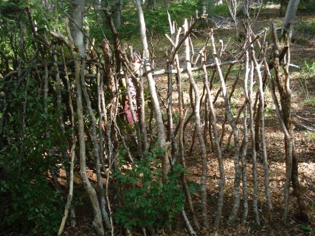 DSC02482.jpg