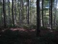 DSC02456.jpg
