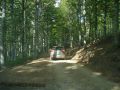 DSC02464.jpg