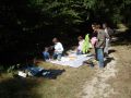 DSC02473.jpg