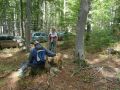 DSC02489.jpg