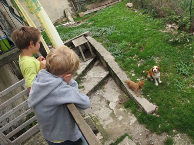 031.jpg