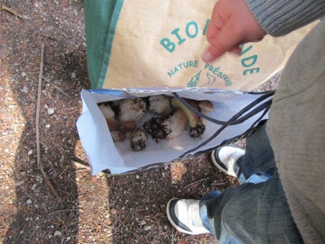038.jpg