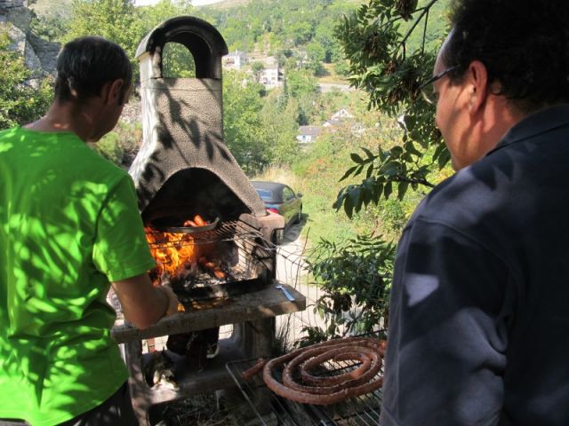 010.jpg