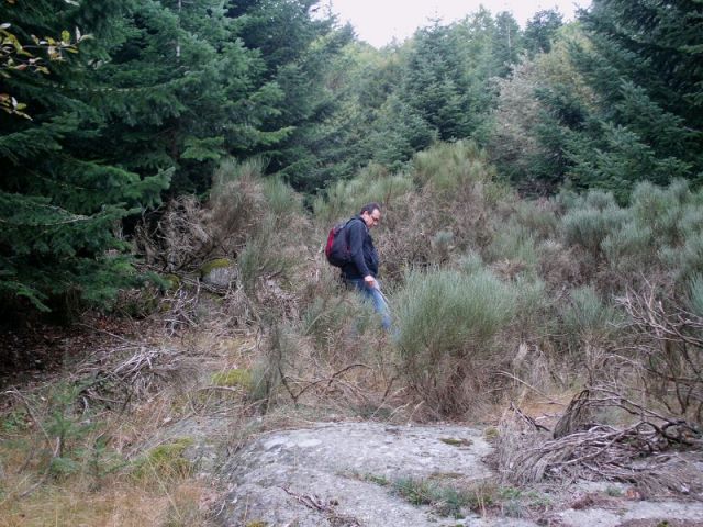 039.jpg