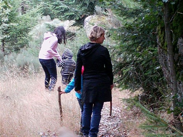 040.jpg