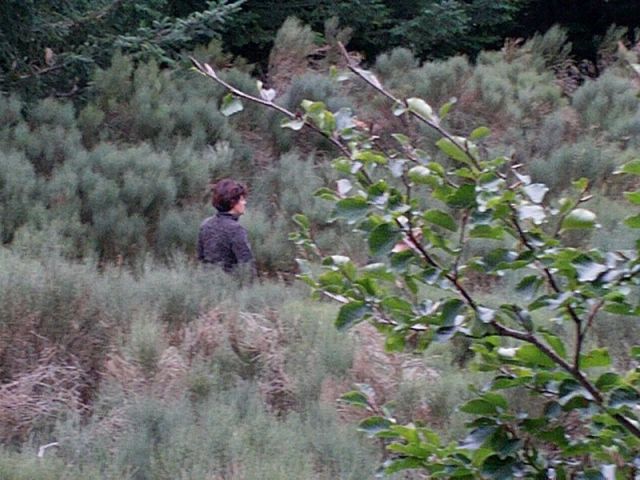 041.jpg