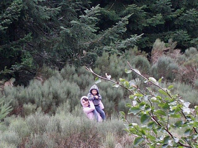 043.jpg