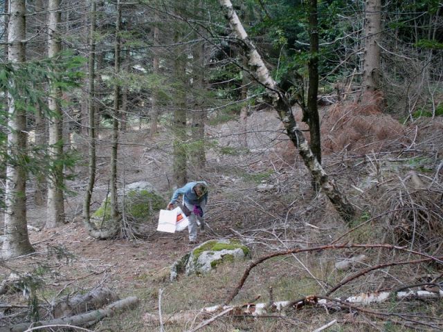 045.jpg