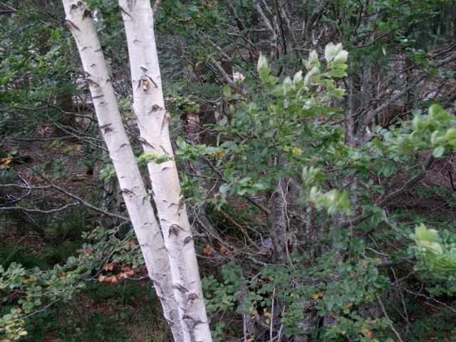 048.jpg