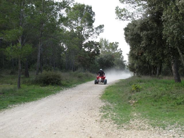 IMG_0847.JPG