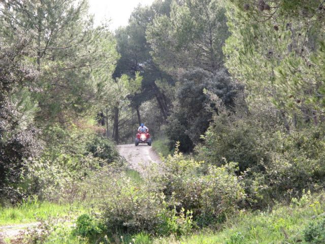 IMG_0851.JPG