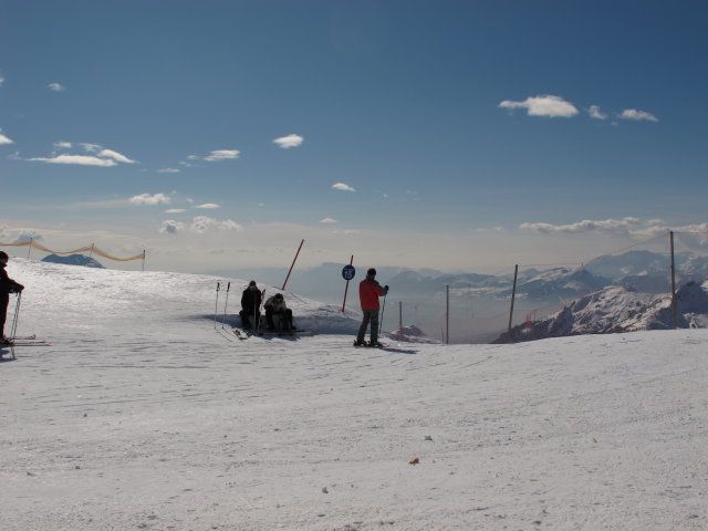 IMG_0740_1.JPG
