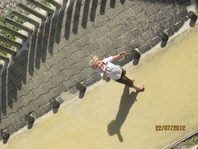 017.jpg