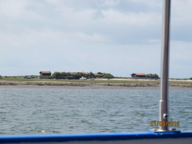 145.jpg