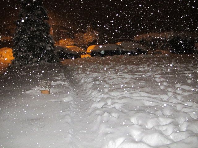 IMG_0503_1.JPG