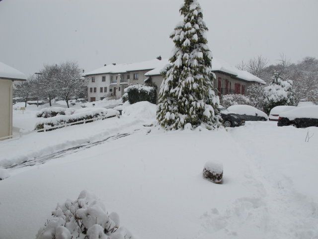 IMG_0526_1.JPG