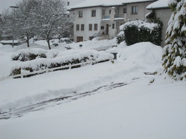 IMG_0527_1.JPG