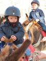 IMG_0440_1.JPG