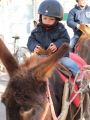 IMG_0441_1.JPG