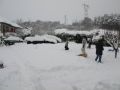 IMG_0522_1.JPG
