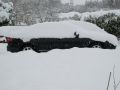 IMG_0524_1.JPG