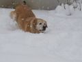 IMG_0525_1.JPG