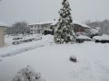 IMG_0526_1.JPG